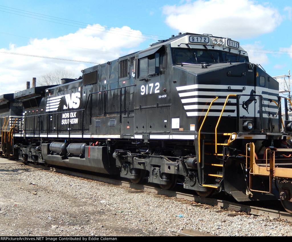 NS 9172 (C44-9W) on NS 22Q